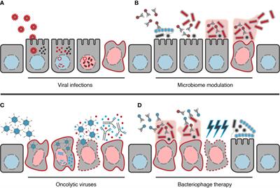 The Viral Janus: Viruses as Aetiological Agents and Treatment Options in Colorectal Cancer